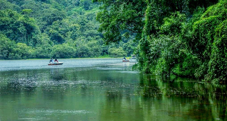 പൂക്കോട് തടാകം